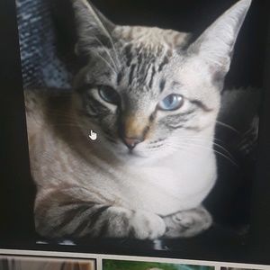 Meet your Posher, Jill